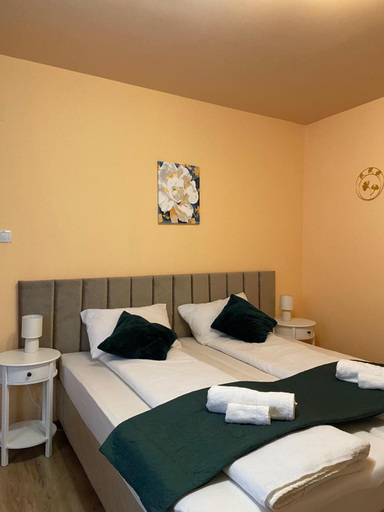 Others 5, Casa Faget, Cluj-napoca