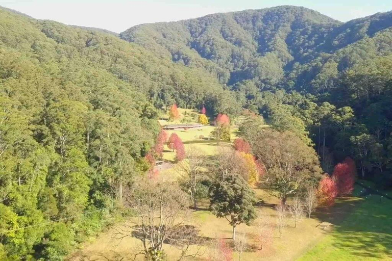 Oasis of Hope - Guest Wing, Coffs Harbour - Pt B