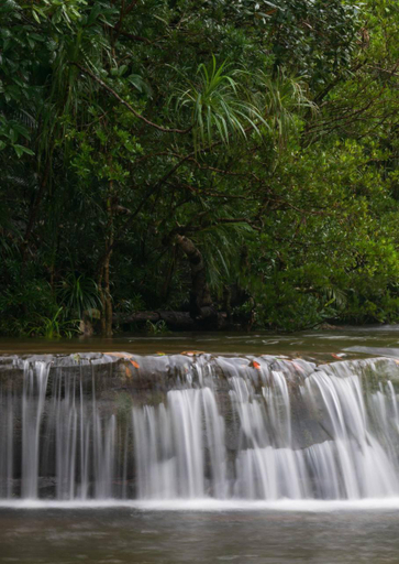 Others 4, Thansur Tatai Eco Resort, Koh Kong