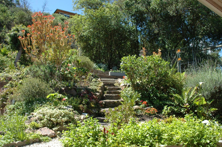 Others 5, The TerraVerde, Eden