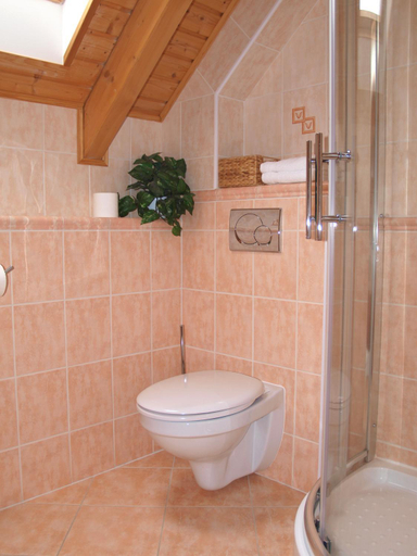 Bathroom 3, Penzion Vital, Liberec