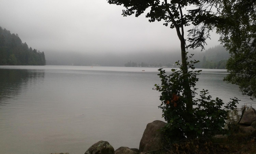 Exterior & Views 4, STUDIO HAUTEUR GERARDMER, Vosges