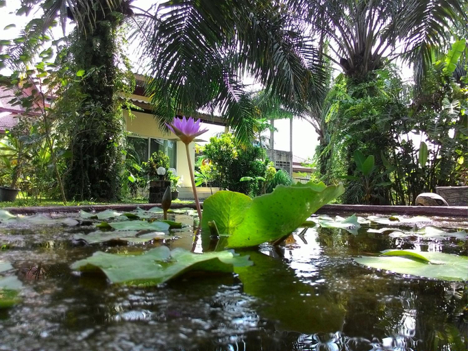 Others 4, Aathid Garden Khao Lak, Takua Pa
