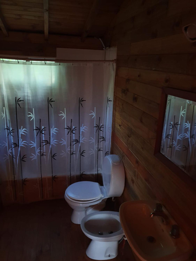 Bathroom, Albaricoque, Tigre