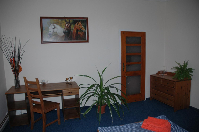 Others 3, Hotel Mrazek, Pardubice
