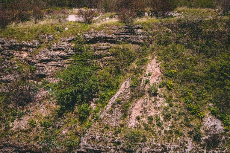 Surrounding environment 5, Auto kamp Titograd