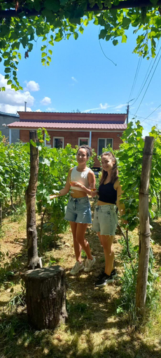 Others 4, Cottage and Gigo Papa's Wine Cellar, Kvareli