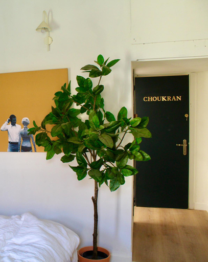 Others 4, Maison Merci - Maison d'hotes, Aude