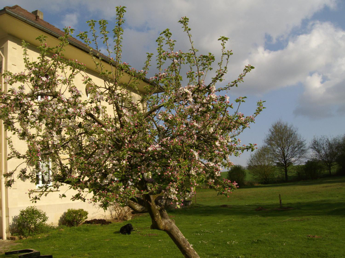 Others 2, Domaine de Beauvilliers, Val-d'Oise