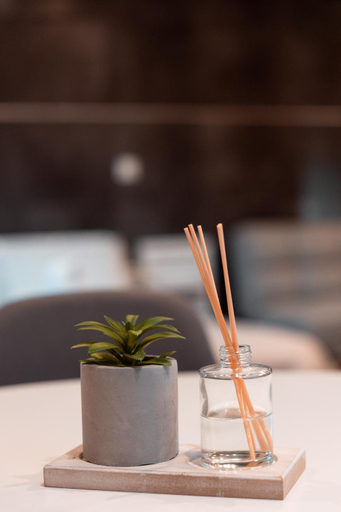 Food & Drinks, Parthenon Portrait Apartments, Attica