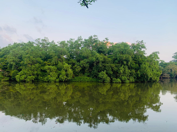View 3, River Shine Cottage, Weligama