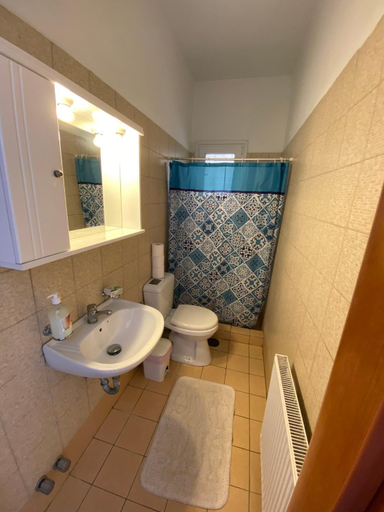 Bathroom 2, Tolis aparts, Ionian Islands