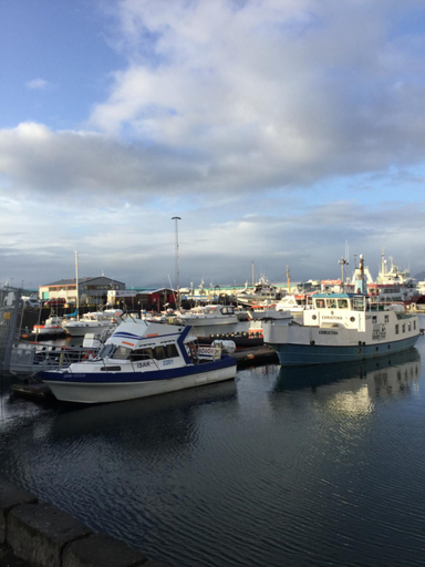 Others 5, Downtown Apartments at Old Harbor Reykjavik, Reykjavík