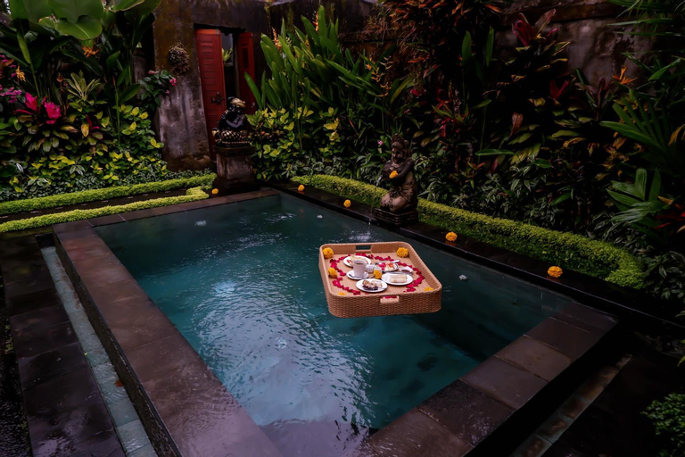 Swimming Pool 4