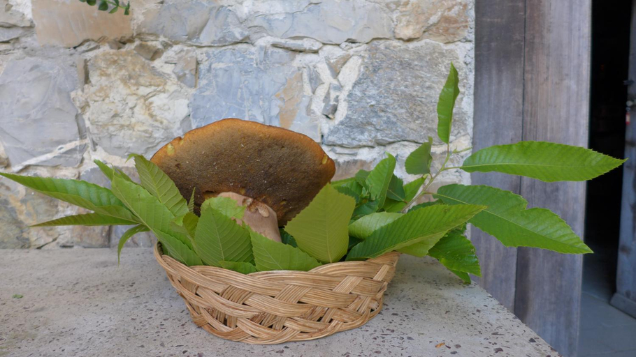 Food & Drinks 5, Casa Marcone, La Spezia
