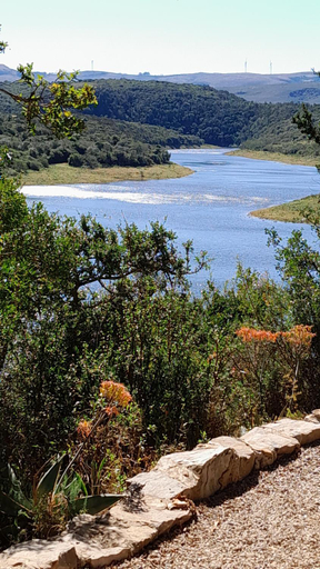 Scenery 1
