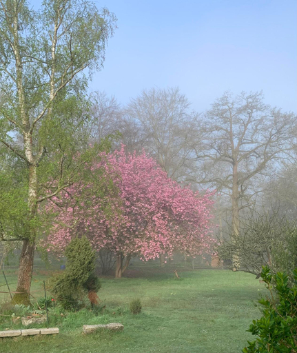 Others 5, Domaine de Beauvilliers, Val-d'Oise