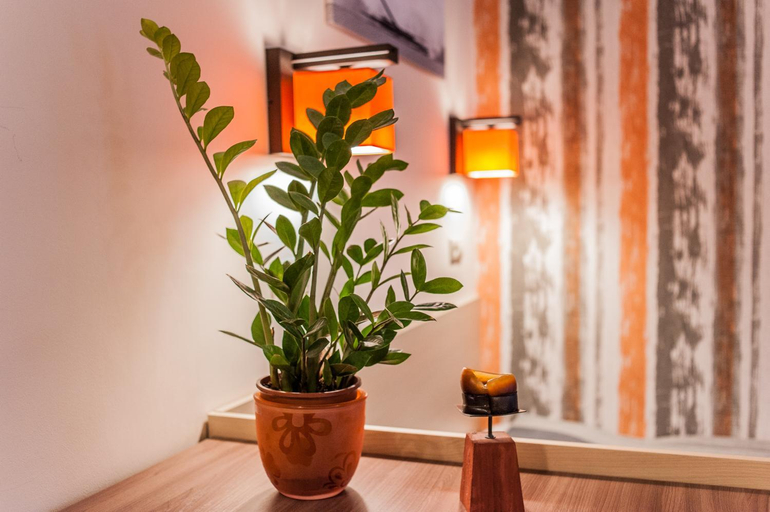 Others 2, All In Apartman, Budapesti