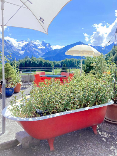 Others 5, Hotel Gletscherblick, Oberhasli