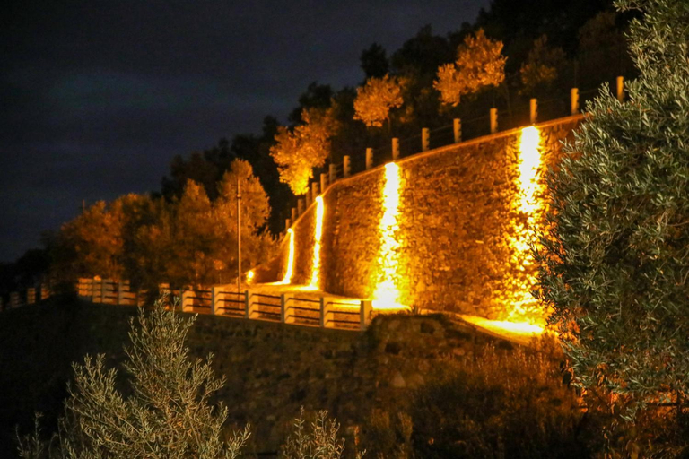 Exterior & Views 1, Kazdagı Atila Bey Konagı, Ayvacık