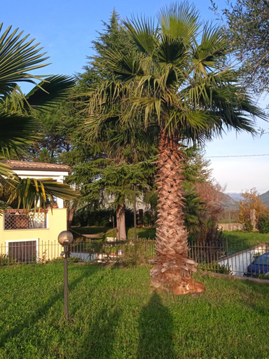 Others 4, Villa Rosanna, Caserta