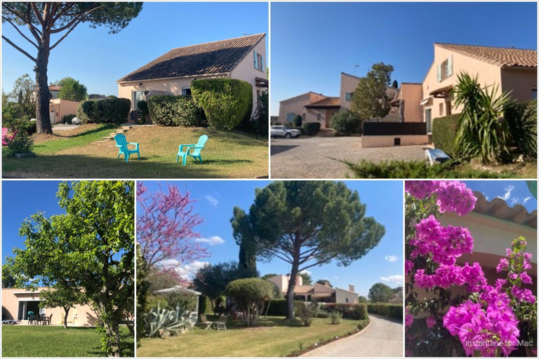 Others 3, Les Bougainvillees de Camargue, Hérault