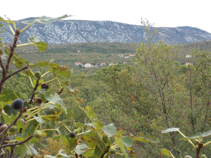 Surrounding environment