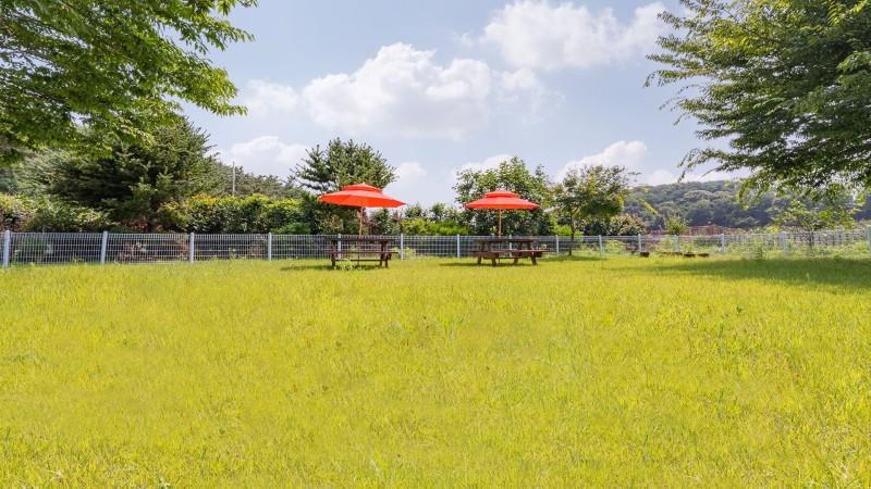 Others 4, Taean (Anmyeondo) Haetulnal Pension, Taean