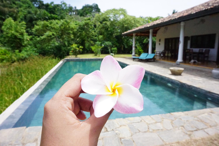 5, FireMoonGarden by Peacock Villa, Weligama