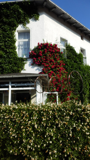 Baltisches Haus Pension Moll, Vorpommern-Greifswald