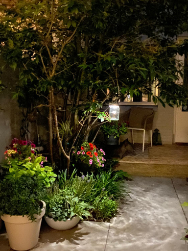 Others 3, Romantic Wellness BnB Noordwijk, Noordwijk