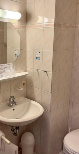 Bathroom 3, Hotel Fortuna, Konstanz
