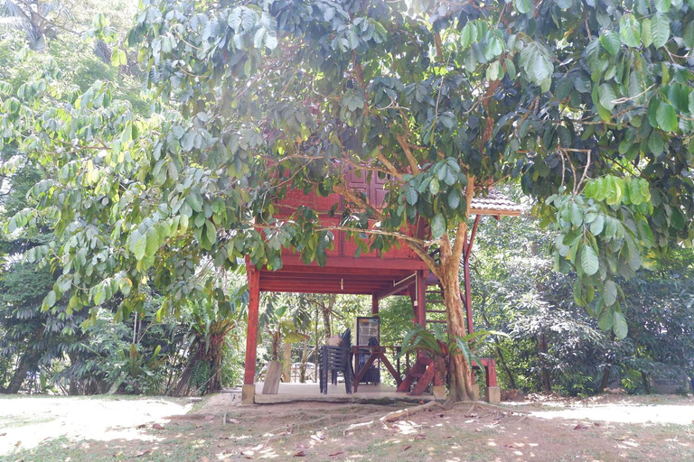 Others 3, Jungle Zen Janda Baik Campsite, Bentong