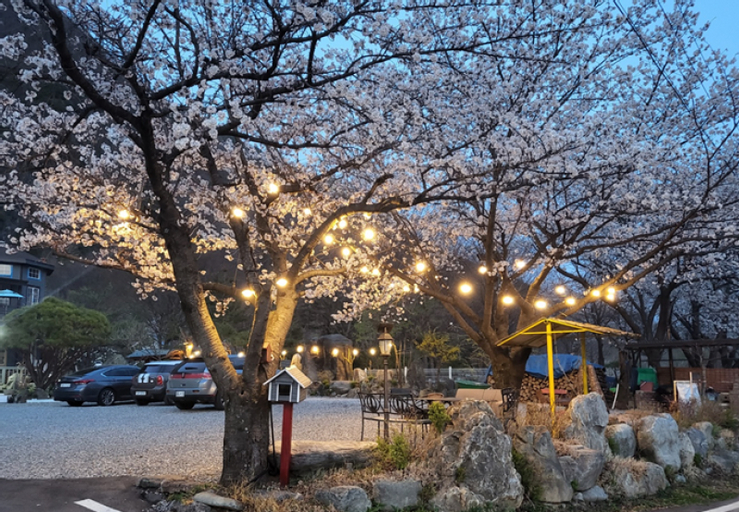 Others 4, Jeongseon Auraji Riverside Pension, Jeongseon