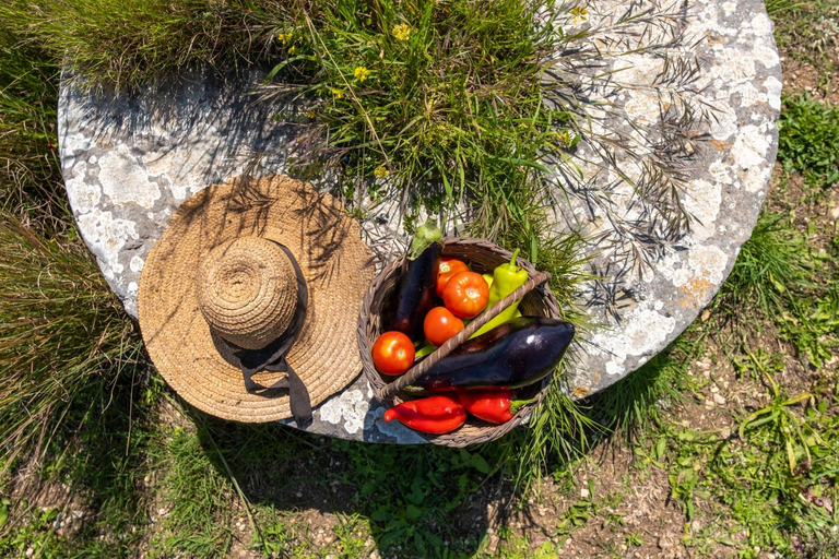 Food & Drinks 4, Chamaloni Cottages, Peloponnese