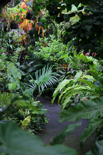Scenery 4
