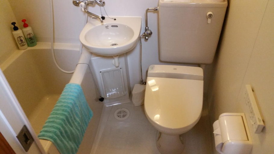 Bathroom 3, Minnsyuku Yakushimaya, Yakushima