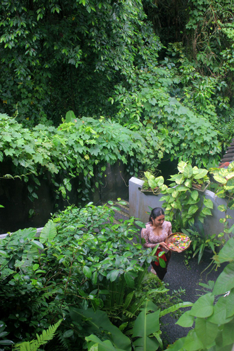 Scenery 11