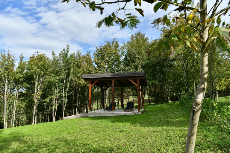 Others 3, Villa Diva Grabovceva, Rakovica