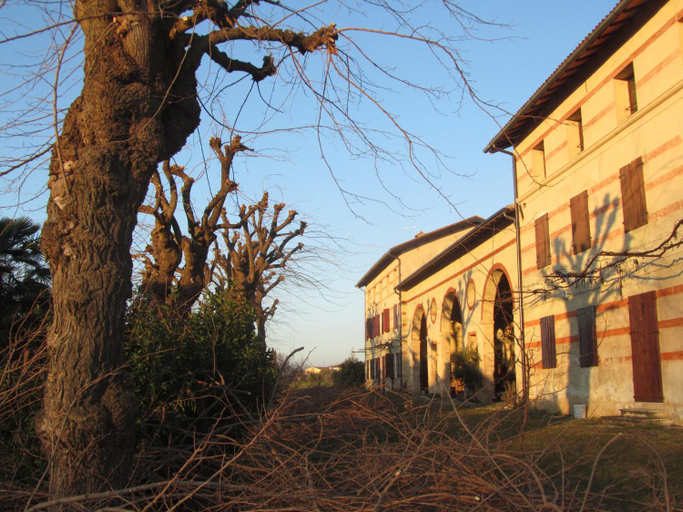 Others 3, Fara1911, Treviso