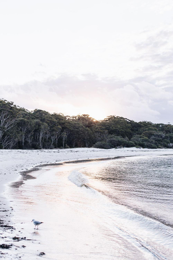 Others 2, The Beach Studio, Shoalhaven - Pt B