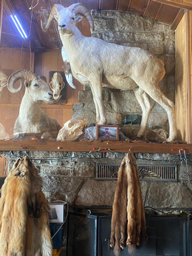 Tolsona Lake Lodge, Valdez-Cordova