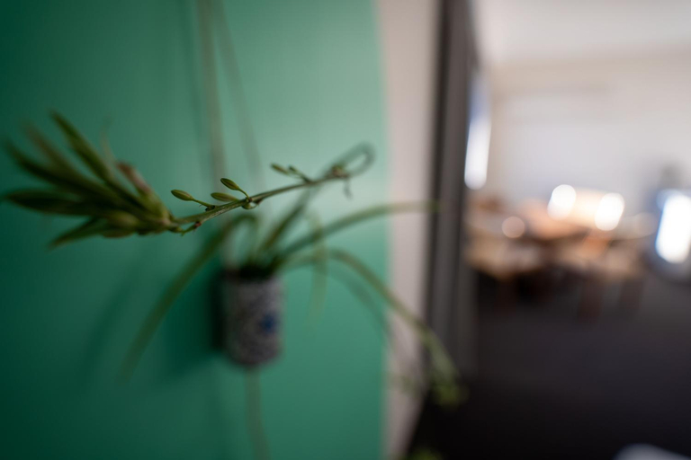 Others 2, Parklane Motel, Launceston - Pt B