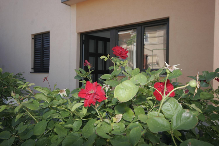 Entrance, Apartments Karabaic Krk, Krk