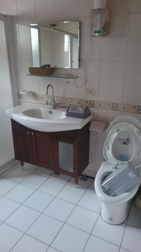 5, Xin Cai Homestay, Chiayi County