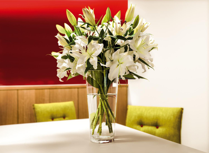 Public Area, Ferienhotel Bodensee, Steckborn
