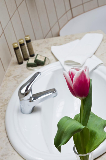 Bathroom, Hotel Kapitany Wellness, Sümeg