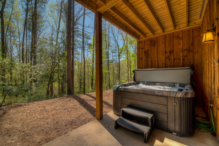 Others 2, BUCKingham Palace- Pet Friendly | Nearby Waterfall | Screened In Porch with Fireplace | Hot Tub, Fannin