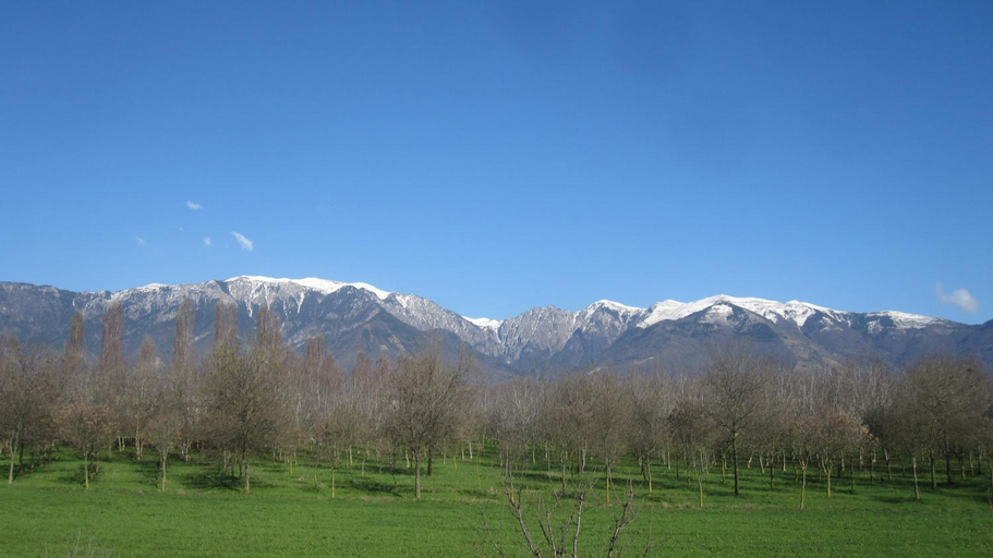 Others 2, Fara1911, Treviso