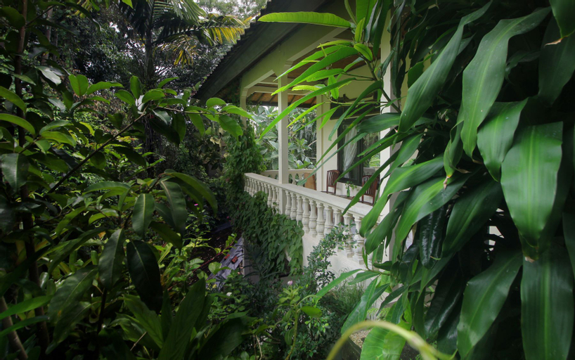 Scenery 12